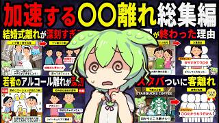 【総集編】あんなに人気だったのに…「〇〇離れ」急増中【BGM用】【作業用】【睡眠用】