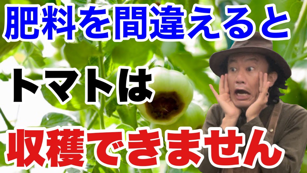 サムネ