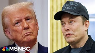 'Utterly insane and destructive': Elon Musk steps up attacks on massive bill for Trump's agenda