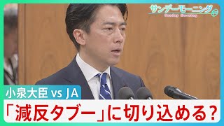 「減反廃止」は長年のタブー 小泉大臣vsJAの“再戦”の行方は不透明　“減反”主張もどうなるコメ価格と農家の未来【サンデーモーニング】