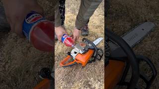 STIHL - MS 250 PEPSI 😃✅ #chainsaw #stihl #forest