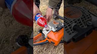 STIHL - MS 250 PEPSI 😳🔥 #chainsaw #stihl #forest