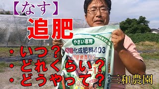 ナスの追肥はタイミングと継続力です。NO310