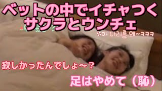 寝る時に夜行性のサクラがハイテンションになり、いつもと違うサクラに困惑するメンバー