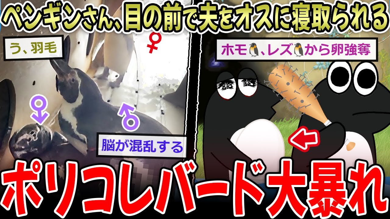 サムネ