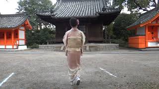 【女装】七五三に訪問着を着て、神社を歩いてみました【成りきり】