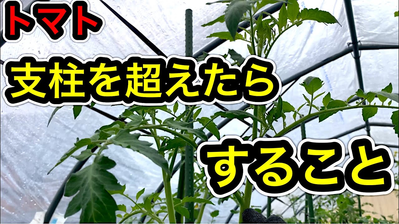 サムネ