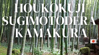 VLOG 11 🎋Houkokuji・Jyomyoji・Ichijyouekansansou・Sugimotodera✨ Kamakura Trip【報国寺・浄妙寺・一条恵観山荘・杉本寺　鎌倉散歩】