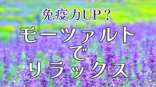 モーツァルト: 免疫力UP？モーツァルトでリラックス［おうちで毎日ミニコンサート♪］