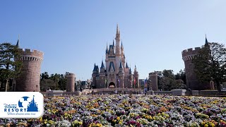 【公式】「サマー・クールオフat Tokyo Disney Resort」テーマソングの一部をお届け | 東京ディズニーリゾート/Tokyo Disney Resort