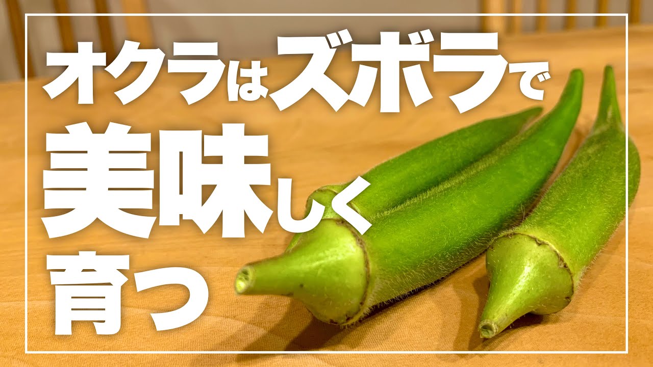 サムネ