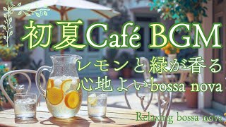 Relaxing Early Summer Café Bossa Nova | Refreshing Lemon & Green Vibes 🍋🌿