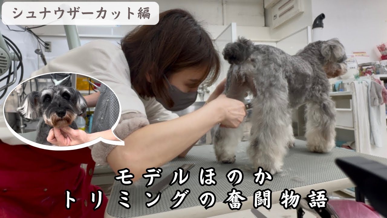 サムネ