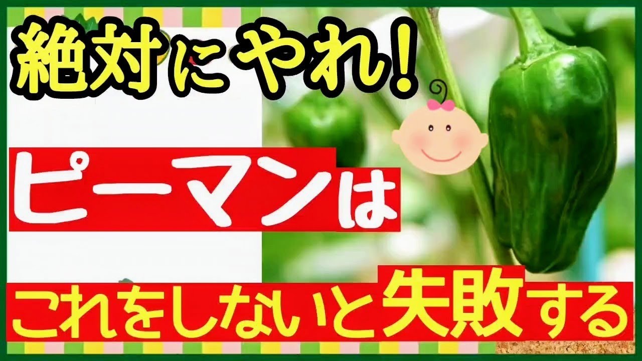 サムネ