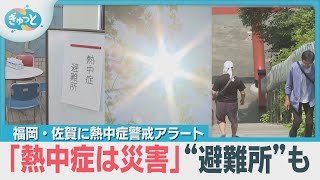 “急に来た夏”熱中症に要注意【ぎゅっと】２０２５年６月３０日ＯＡ