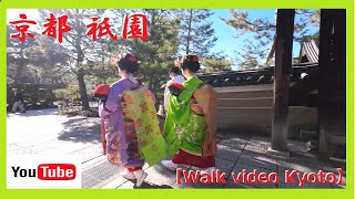 【京都Walk/祇園/舞妓】外国人観光客が走り出した先に一体何が😲❗京都ゑびす神社「ゑびす大祭」🎌🎍祇園甲部&宮川町🍁😺美しい舞妓さん達に出会いました🎵😊 1-8 pm 2024 KYOTO No76