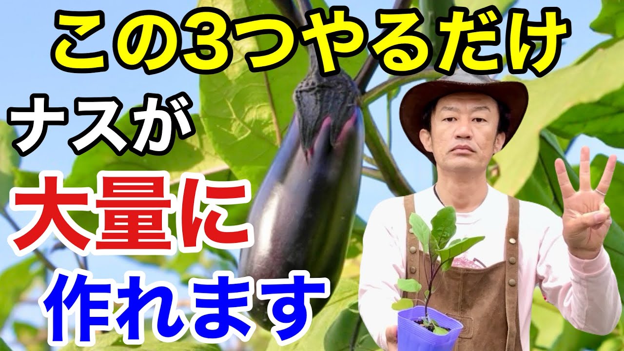 サムネ