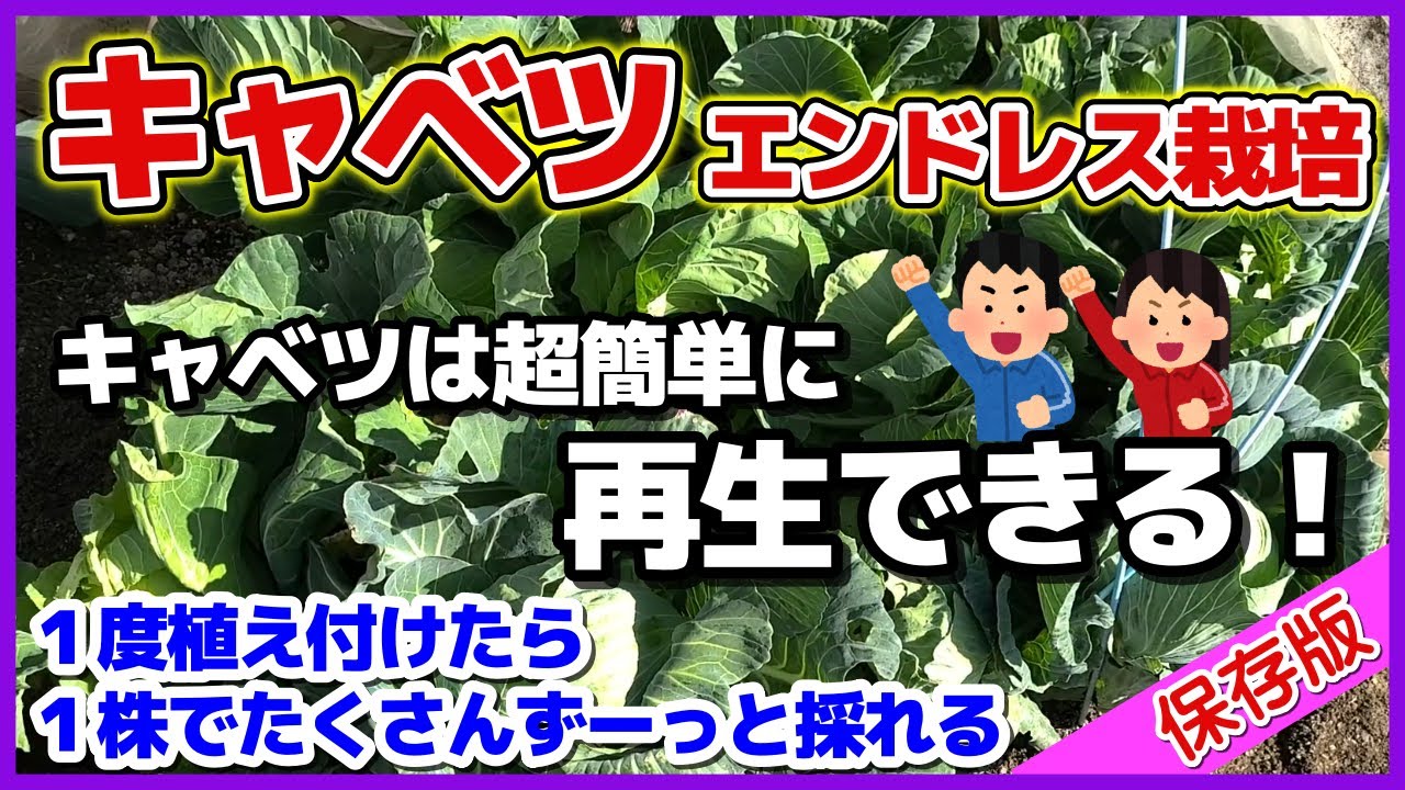 サムネ