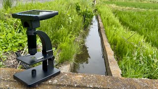 田んぼの横の側溝を顕微鏡で観察してみたら、変な生き物が…