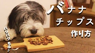 犬おやつレシピ｜バナナチップスの作り方【もふ飯】