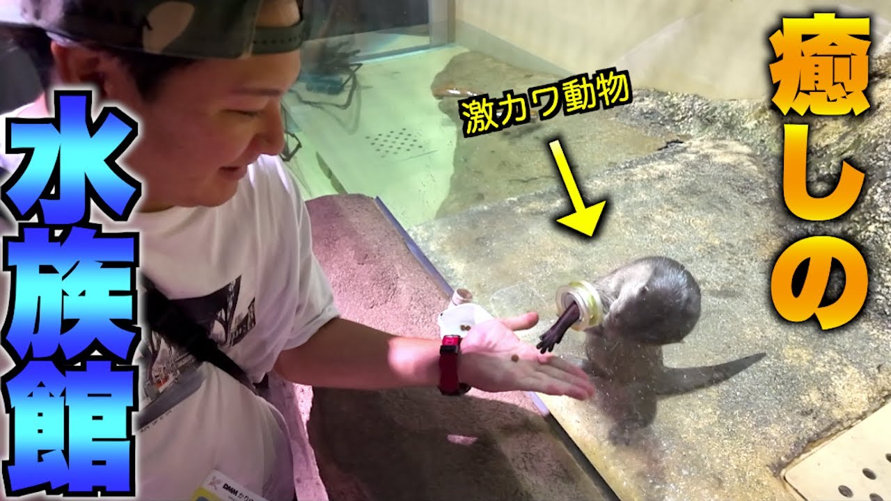 サムネ