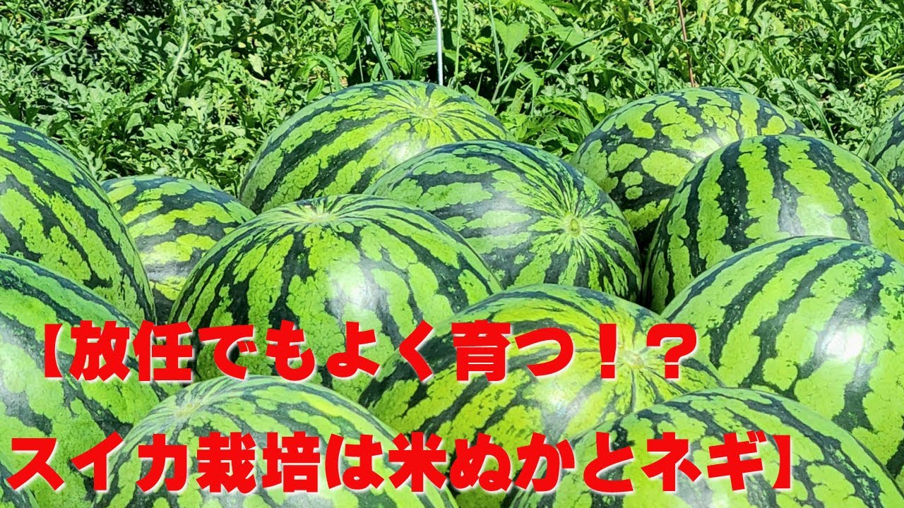 サムネ