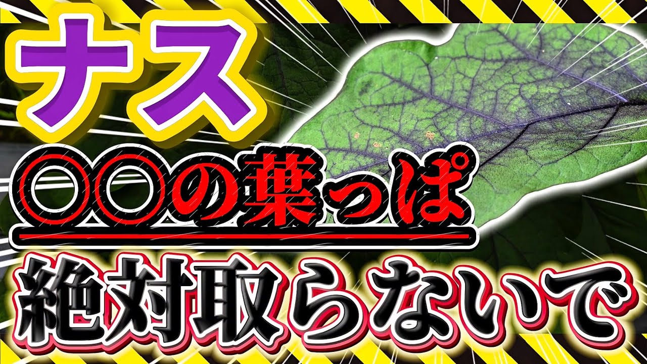 サムネ
