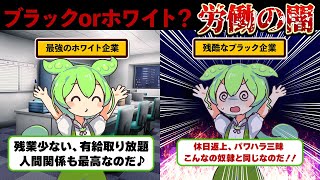 【ヤバすぎる】ブラック企業で地獄を見た話＆ホワイト企業の神対応！あなたの会社はどっち？【ずんダネ】【ずんだもん】【ゆっくり解説】