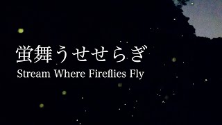 Sound of a Stream with Fireflies Flying, Sounds of Insects, Frogs & Owls / 1 hour Nature Sound ASMR