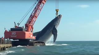 50 Most Dangerous And Biggest Heavy Equipment Machines Working At Another Level