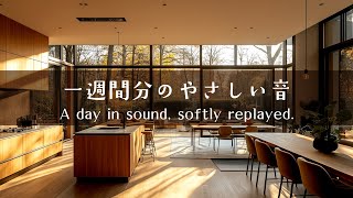 【今日の一曲 まとめ 】アコースティックギターが奏でる今日の音色│One Acoustic Tune to Color Your Day
