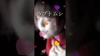 aiko  カブトムシ　歌ってみた