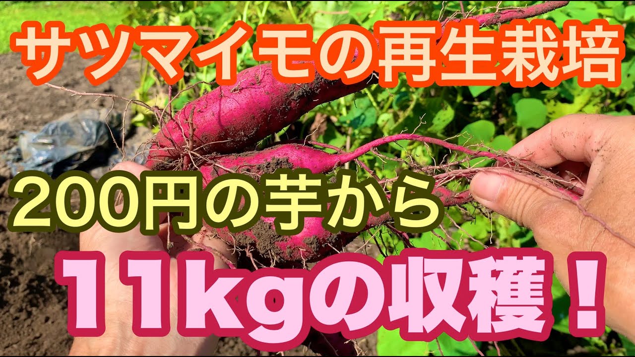 サムネ