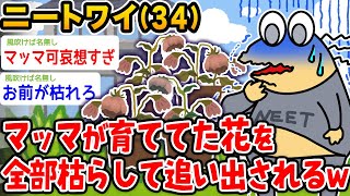 【バカ】ワイニート（34）、マッマが育ててた花を全部枯らしてしまい追い出されるwwwww【2ch面白いスレ】