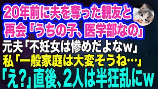 20年前に夫を奪った親友と再会「うちの子は天才だから医学部に入ったの」元夫「不妊で独身は惨めだよなw」→私「一般家庭は大変そうね」直後、2人は半狂乱にw【スカッとする話】