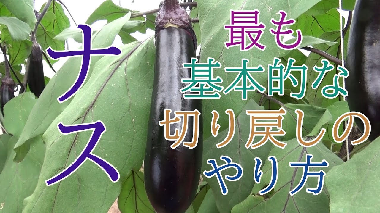 サムネ