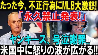 MLBが緊急調査発表！ヤンキースに不正疑惑？ファンの怒り広がる中、大谷翔平の冷静な対応が称賛される！