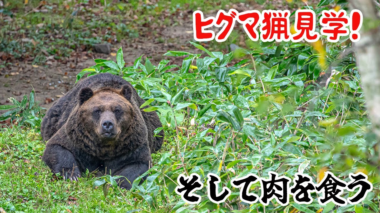 サムネ