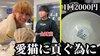 高級ポケカが貰える闇サイコロで勝った金は全てレウ様に使います