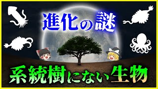 【ゆっくり解説】ある日突然現れた⁉「系統樹」にない生物を解説/生物の進化の謎に迫る