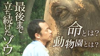 【ドキュメンタリー作品】年老いたゾウと飼育員の物語★ギャラクシー賞など数々の賞を受賞