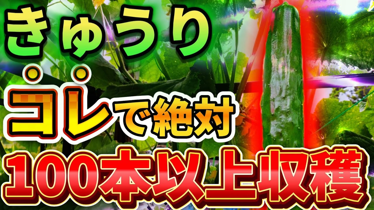 サムネ