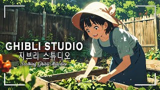 【ゆったりジブリ】ジブリメドレーピアノ🌹史上最高のピアノジブリコレクション