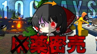【Schedule I】100日後に●薬王になりたい霊夢【ゆっくり実況】