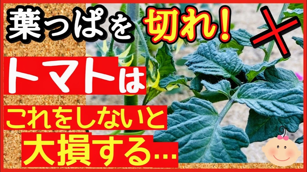 サムネ
