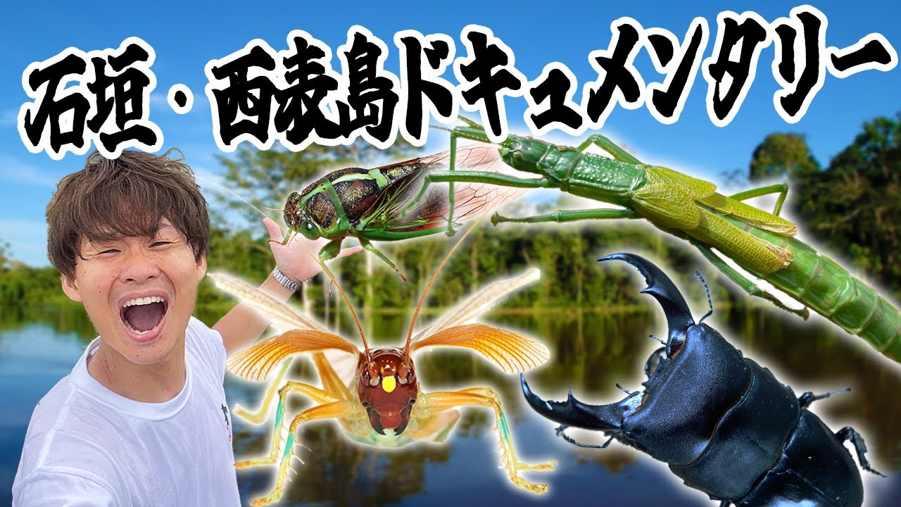 サムネ