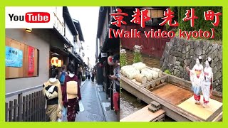 【京都Walk/先斗町/舞妓】外国人観光客もびっくり😲❗散歩中に美人な芸妓さん3人にバッタリ遭遇😻❗カワイイ舞妓さん2人の撮影会📷お茶席🍵も🎵❗ 高瀬川舟まつり 2 to 5 pm 2023 No47