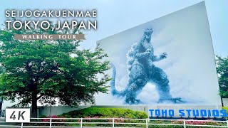 Meeting Godzilla in Tokyo | Tokyo, Japan Walking Tour 🇯🇵【4K | 60fps】