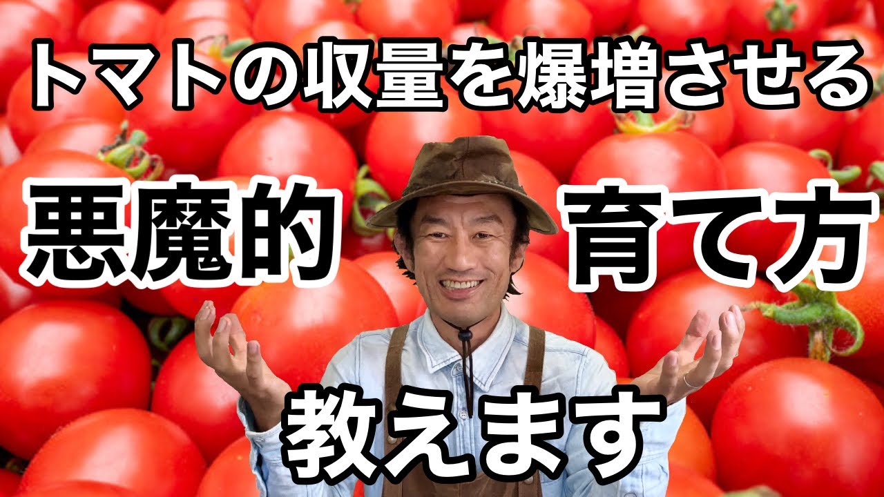 サムネ