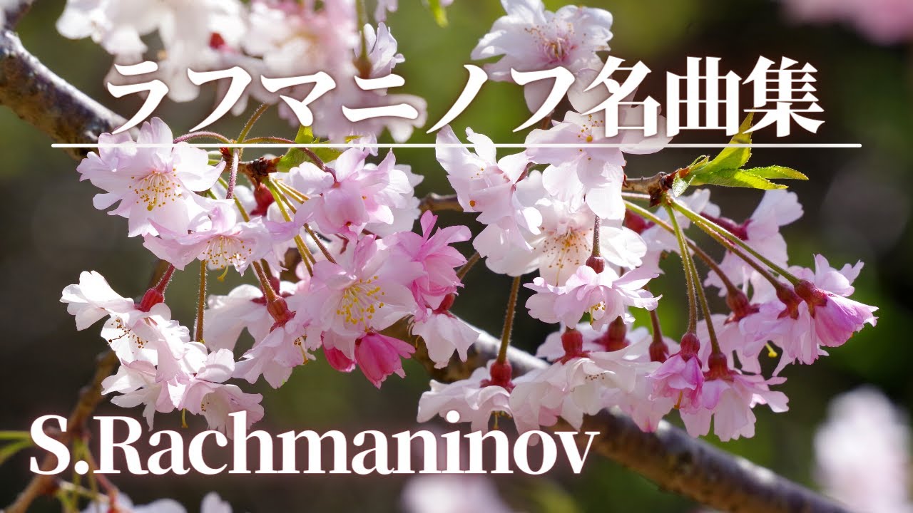 サムネ